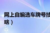 网上自编选车牌号技巧（新车上牌选号禁忌有啥）