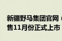 新疆野马集团官网（野马SPICA10月23日预售11月份正式上市）