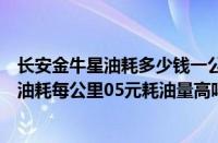 长安金牛星油耗多少钱一公里（长安金牛星油耗长安金牛星油耗每公里05元耗油量高吗）