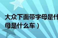 大众下面带字母是什么车（大众标志底下有字母是什么车）