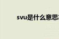 svu是什么意思车（svt是什么车）