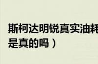 斯柯达明锐真实油耗多少（明锐市区油耗惊人是真的吗）