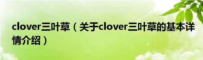 clover三叶草（关于clover三叶草的基本详情介绍）