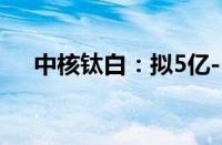 中核钛白：拟5亿-10亿元回购公司股份