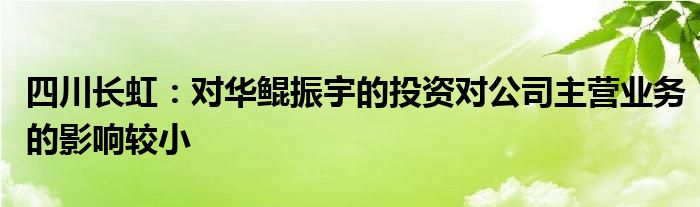 四川长虹：对华鲲振宇的投资对公司主营业务的影响较小