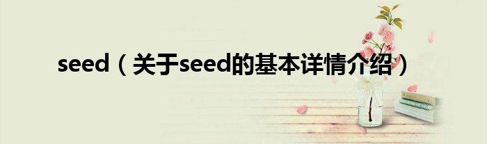 seed（关于seed的基本详情介绍）