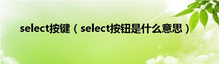 select按键（select按钮是什么意思）