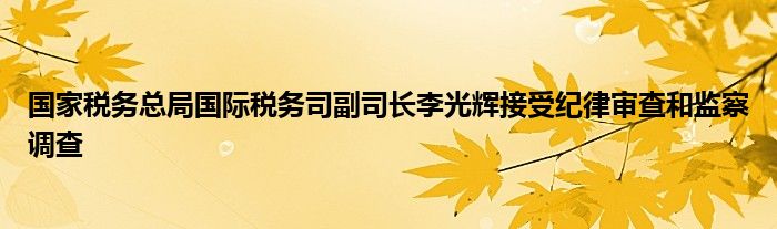 国家税务总局国际税务司副司长李光辉接受纪律审查和监察调查