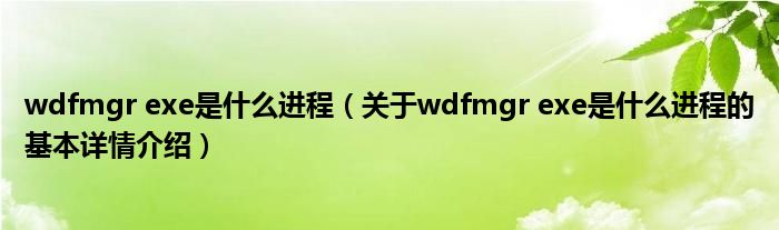 wdfmgr exe是什么进程（关于wdfmgr exe是什么进程的基本详情介绍）