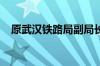 原武汉铁路局副局长赵宏刚接受审查调查