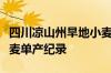 四川凉山州旱地小麦实产验收打破西南旱地小麦单产纪录