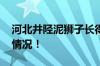 河北井陉泥狮子长得也太潦草了 具体是什么情况！