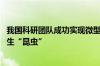 我国科研团队成功实现微型动力技术新突破 并研发出一款仿生“昆虫”