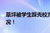 草坪被学生踩秃校方就地修路 具体是什么情况！