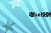 粤ba绿牌是什么意思