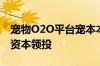 宠物O2O平台宠本本完成1亿元B轮融资前泽资本领投