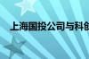 上海国投公司与科创投集团实施联合重组