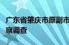 广东省肇庆市原副市长叶锐接受纪律审查和监察调查