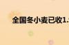 全国冬小麦已收1.9亿亩 收获进度过半