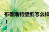 布鲁斯特壁纸怎么样（布鲁斯特壁纸最新报价）