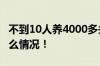 不到10人养4000多头牛是什么体验 具体是什么情况！