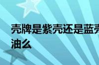 壳牌是紫壳还是蓝壳好？汽车轮胎60换55省油么