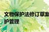 文物保护法修订草案二审稿进一步加强文物保护管理