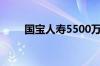 国宝人寿5500万股股权遭司法拍卖