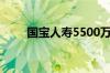 国宝人寿5500万股股权遭司法拍卖