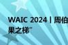 WAIC 2024丨周伯文：攀登可信AGI的“因果之梯”