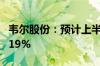 韦尔股份：预计上半年净利同比增长754%-819%