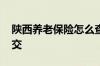 陕西养老保险怎么查询 陕西省养老保险怎么交