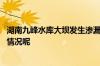 湖南九峰水库大坝发生渗漏险情目前正在抓紧抢险 到底什么情况呢