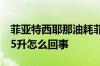 菲亚特西耶那油耗菲亚特西耶那百公里油耗15升怎么回事