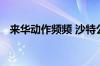 来华动作频频 沙特公共投资基金底色如何