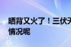 晒背又火了！三伏天晒背有用吗？ 到底什么情况呢