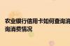 农业银行信用卡如何查询消费记录 农业银行的信用卡怎么查询消费情况