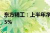 东方精工：上半年净利1.64亿元 同比下降20.5%