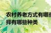 农村养老方式有哪些 农村居民养老方式的选择有哪些种类