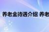 养老金待遇介绍 养老金待遇领取条件是什么