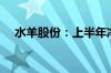 水羊股份：上半年净利同比下降25.74%