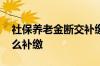 社保养老金断交补缴的条件 断交的养老金怎么补缴