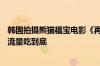 韩国拍摄熊猫福宝电影《再见爷爷》定档9月4日 网友吐槽：流量吃到底