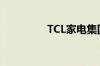 TCL家电集团增资至30亿