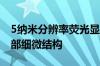 5纳米分辨率荧光显微镜问世：将揭示细胞内部细微结构