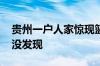 贵州一户人家惊现篮球大马蜂窝 一直住人竟没发现