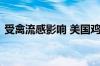 受禽流感影响 美国鸡蛋价格同比飙升19.1%