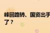 峰回路转、国资出手！岭南股份退市危机结束了？