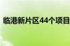 临港新片区44个项目开工 总投资近340亿元