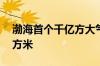 渤海首个千亿方大气田累产天然气超10亿立方米